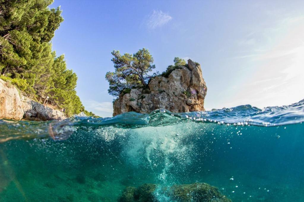 Apartment Kraljevic Blato na Cetini Εξωτερικό φωτογραφία
